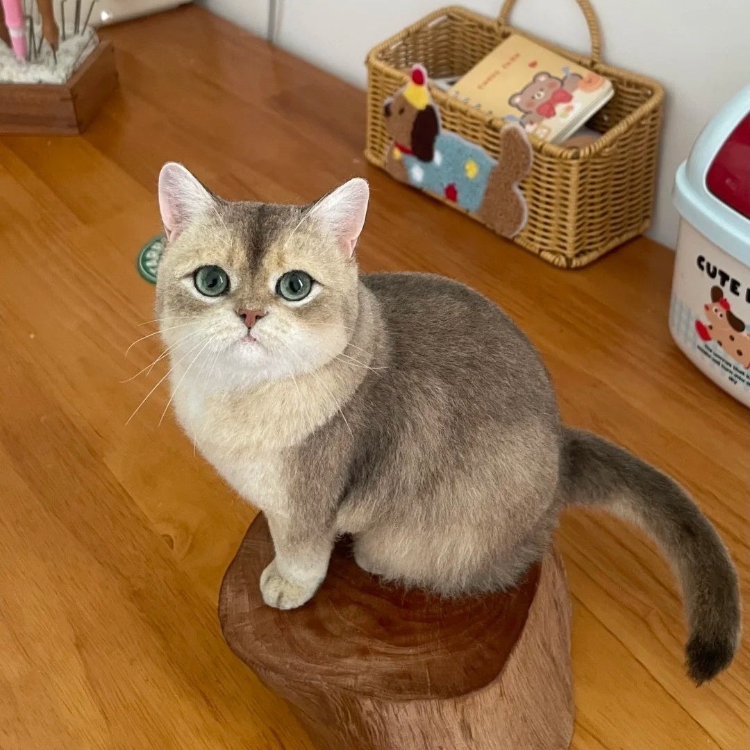 Custom Full Body Figurine Needle Felted Pet | Handmade Pet Memorial Gifts-CAT