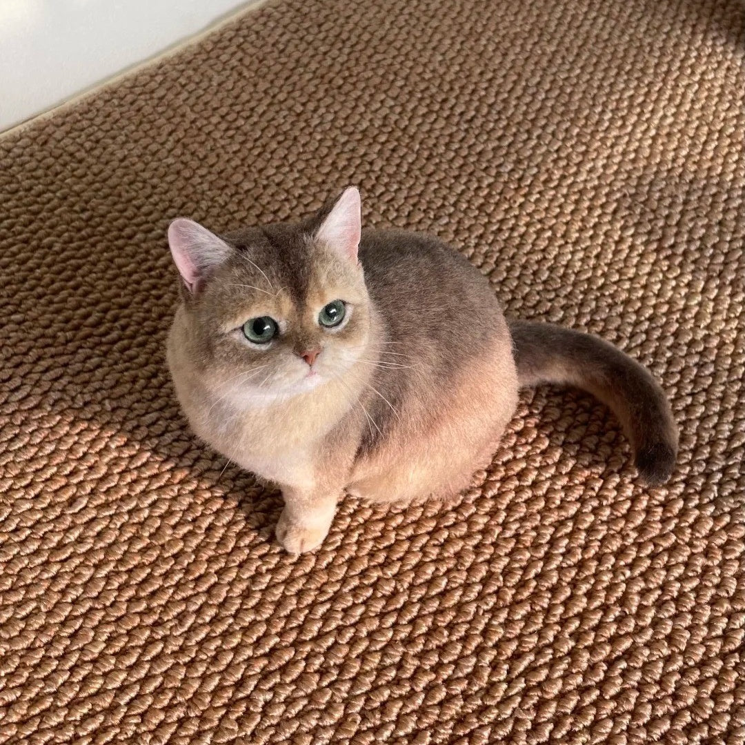 Custom Full Body Figurine Needle Felted Pet | Handmade Pet Memorial Gifts-CAT